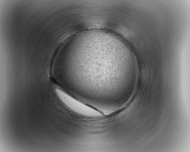 X0000088451217200706051300