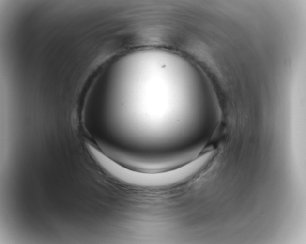 X0000088451218200706051300