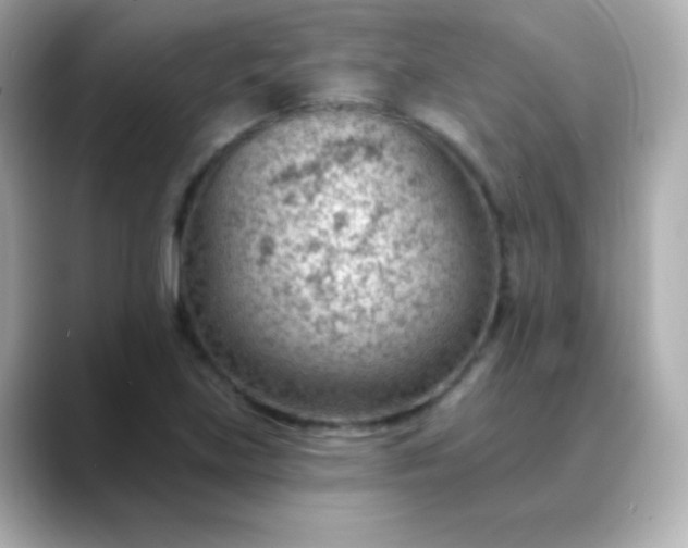 X0000088451219200706051300