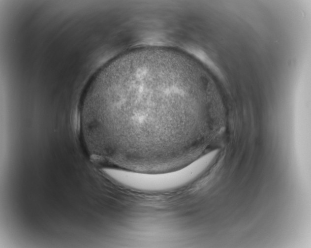 X0000088451221200706051300
