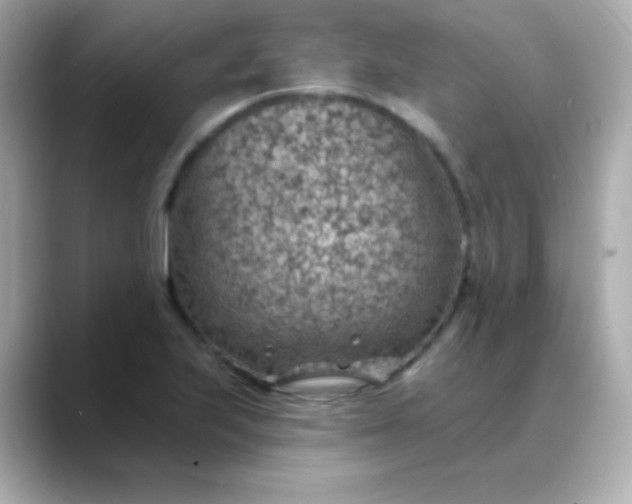 X0000088451223200706051300