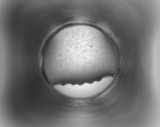 X0000088451224200706051300