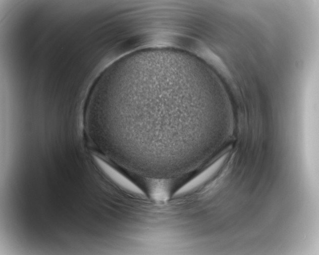X0000088451226200706051300