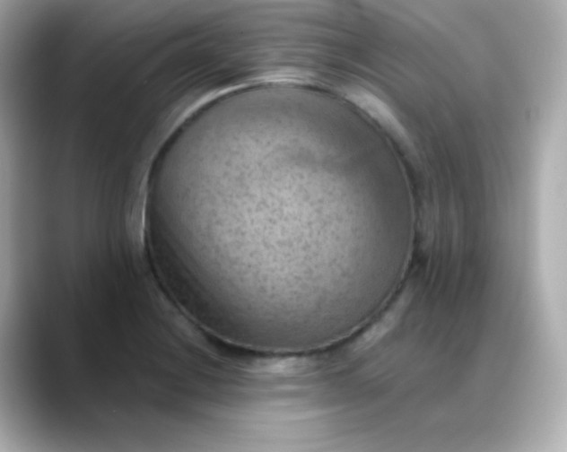 X0000088451228200706051300