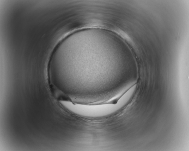 X0000088451230200706051300