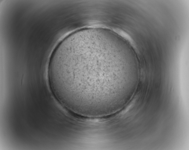 X0000088451231200706051300