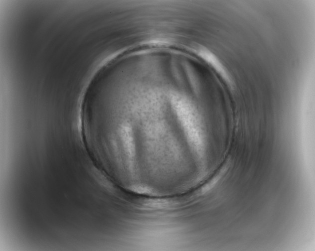 X0000088451232200706051300