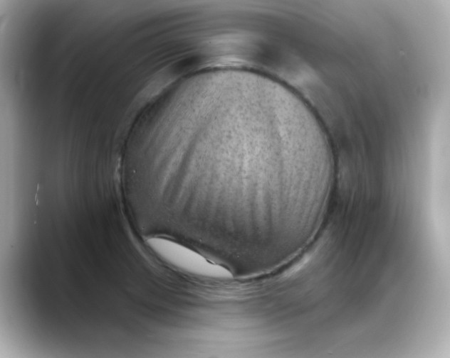 X0000088451233200706051300