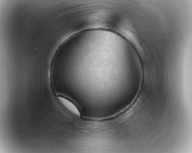X0000088451234200706051300