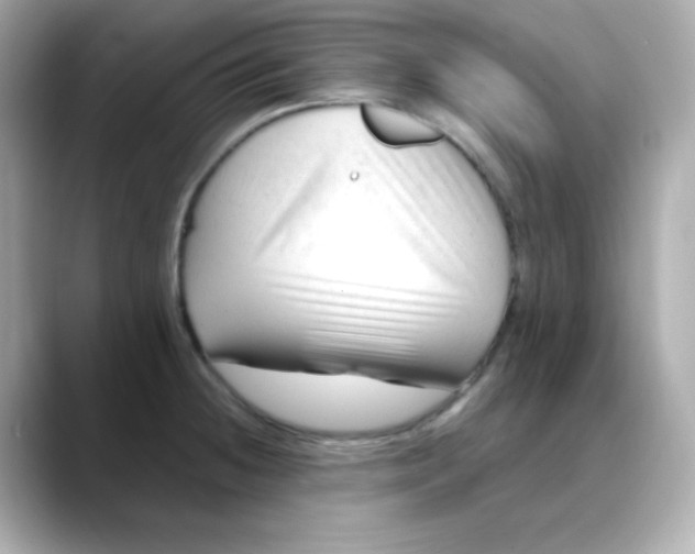 X0000088451236200706051300
