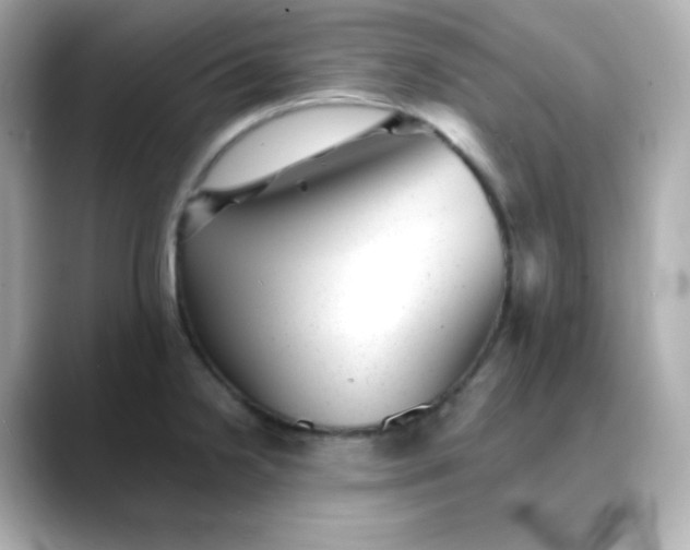X0000088451238200706051300