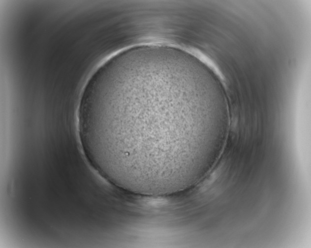 X0000088451239200706051300