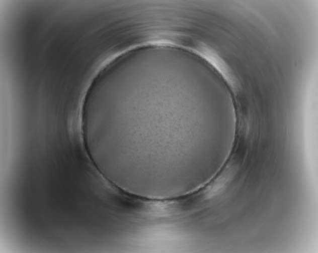 X0000088451240200706051300