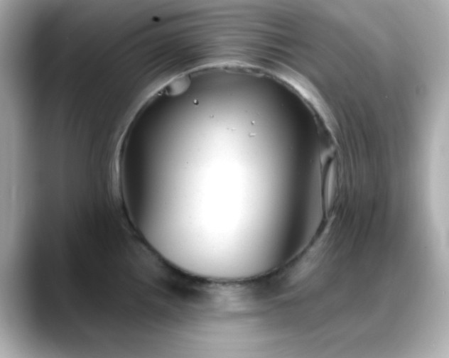 X0000088451242200706051300