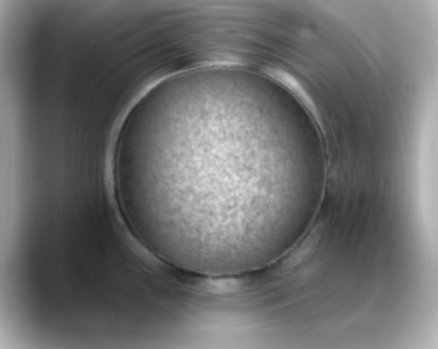 X0000088451243200706051300