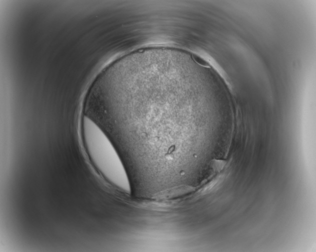 X0000088451245200706051300