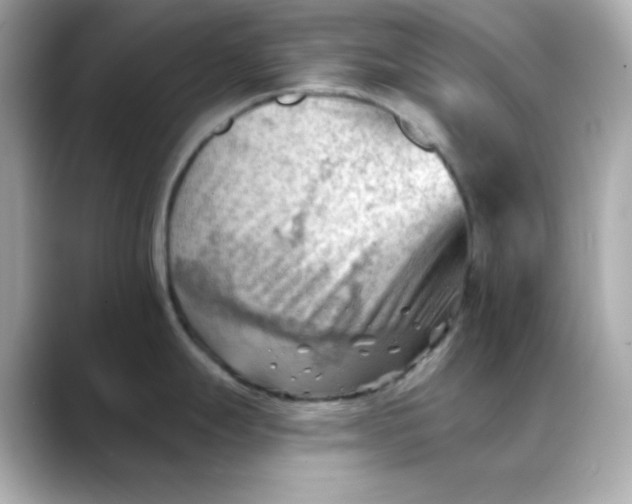 X0000088451247200706051300