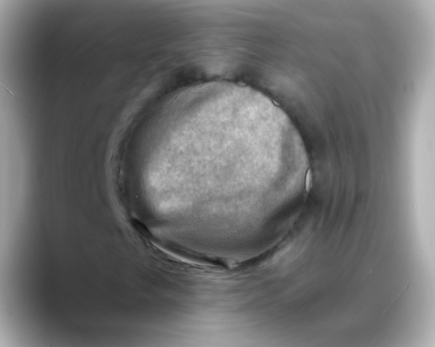 X0000088451249200706051300