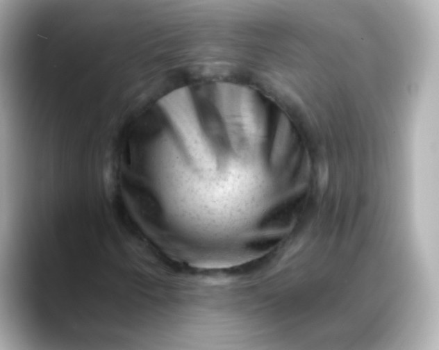 X0000088451250200706051300