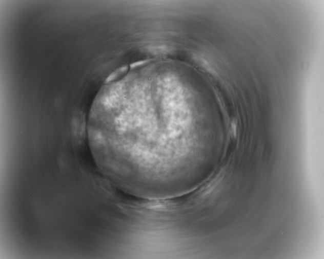 X0000088451251200706051300