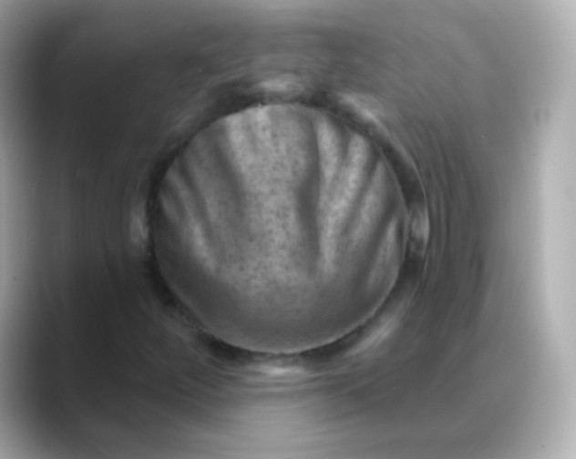 X0000088451252200706051300