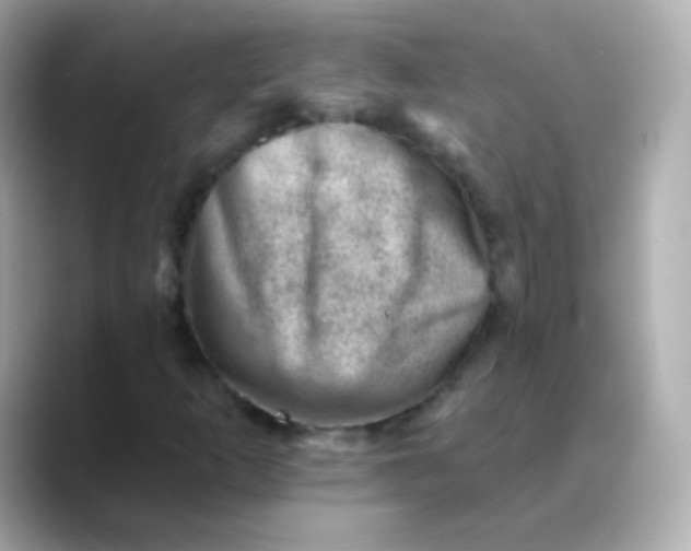 X0000088451253200706051300