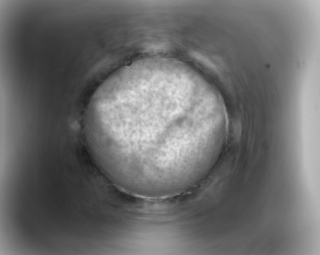 X0000088451254200706051300