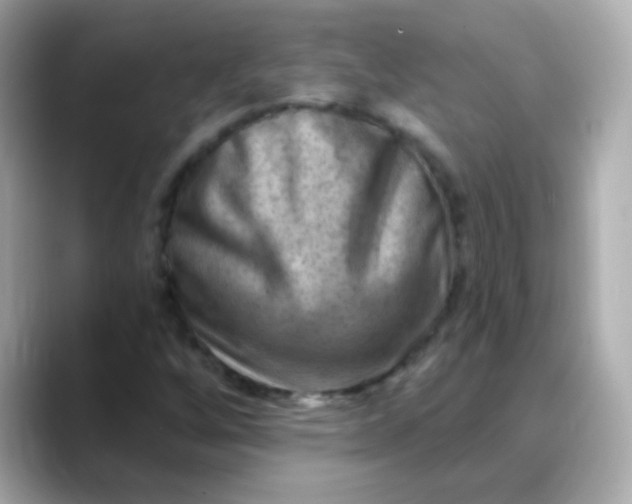 X0000088451256200706051300