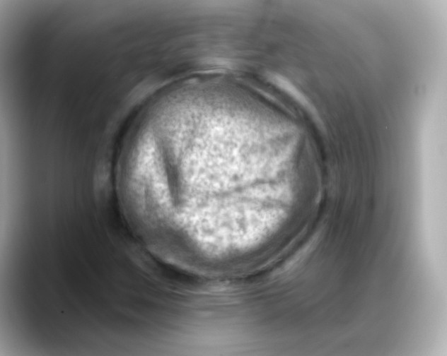 X0000088451259200706051300
