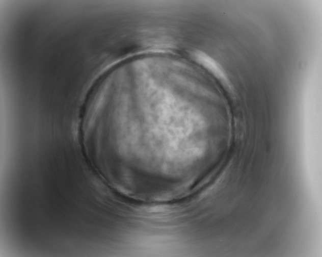 X0000088451260200706051300