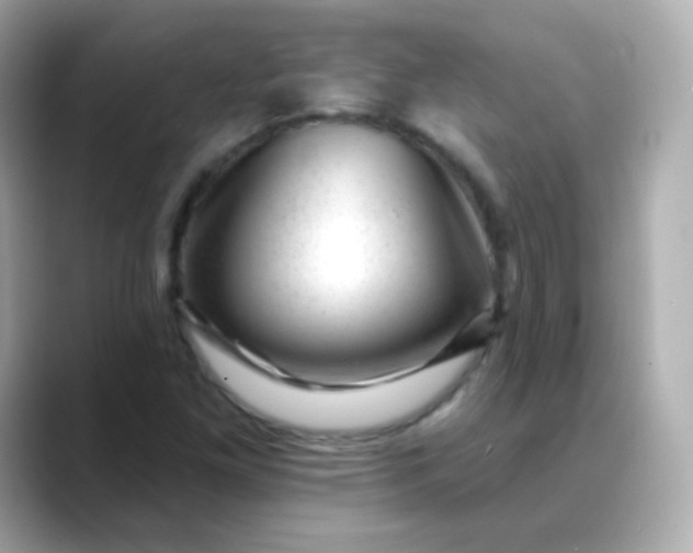 X0000088451261200706051300