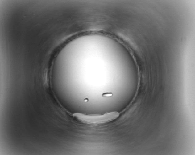 X0000088451262200706051300