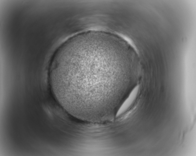 X0000088451263200706051300
