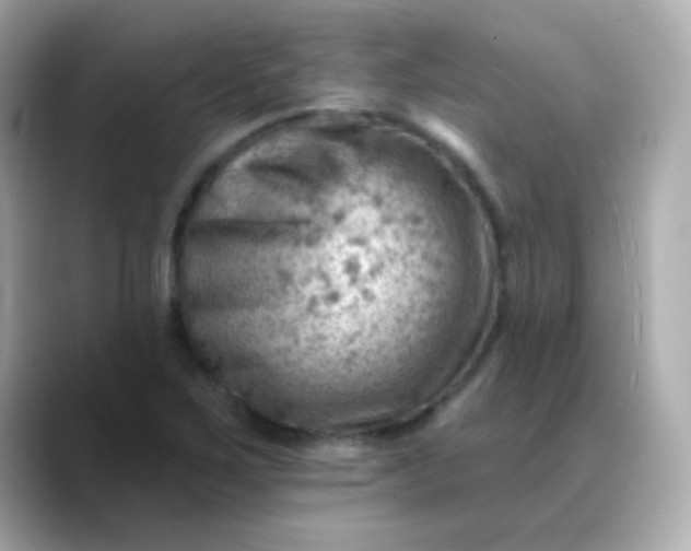 X0000088451267200706051300