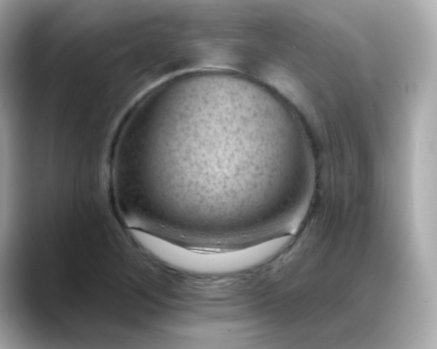 X0000088451268200706051300