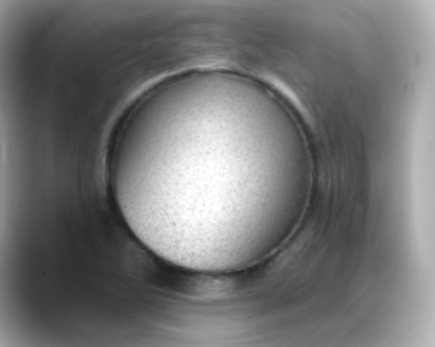 X0000088451270200706051259
