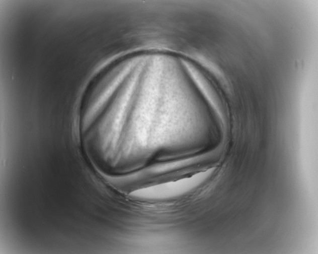 X0000088451272200706051259