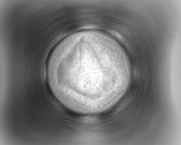 X0000088451274200706051259
