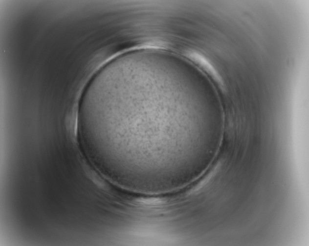 X0000088451276200706051259