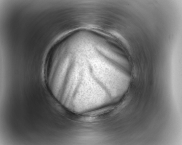 X0000088451278200706051259