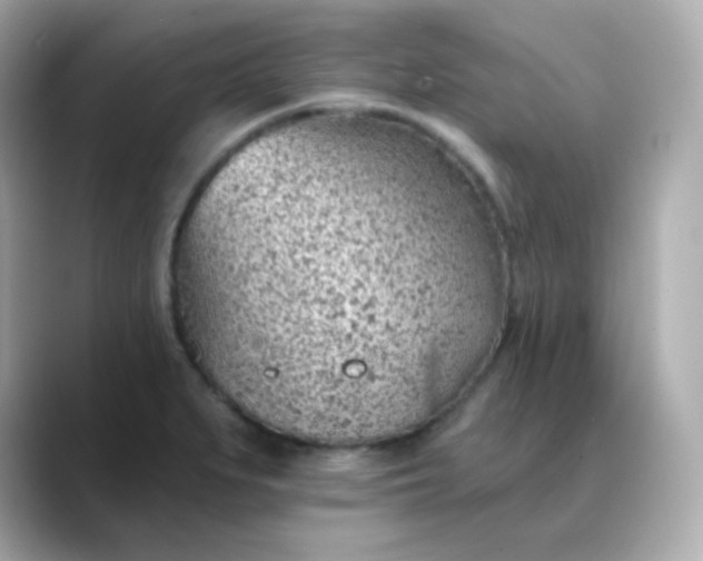 X0000088451279200706051259