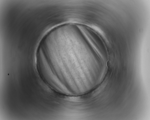 X0000088451280200706051259