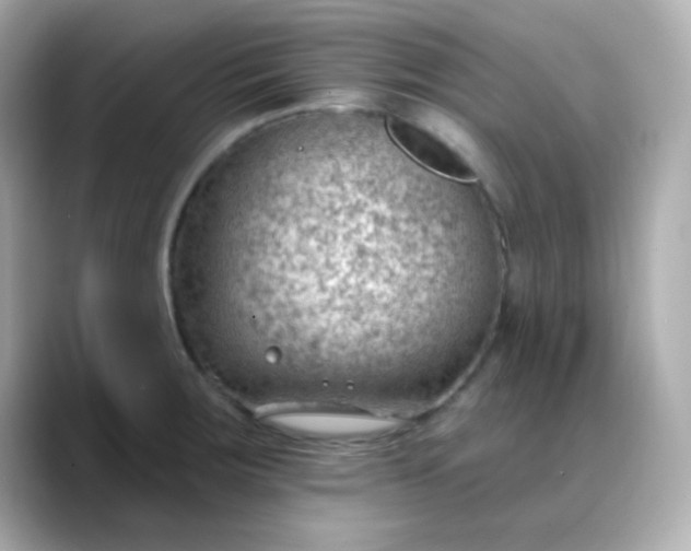 X0000088451283200706051259
