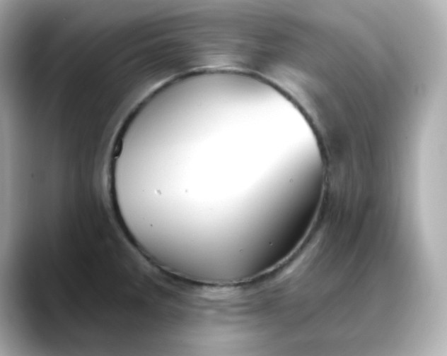 X0000088451285200706051259