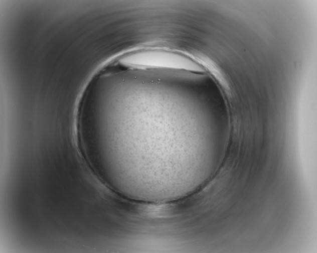 X0000088451288200706051259