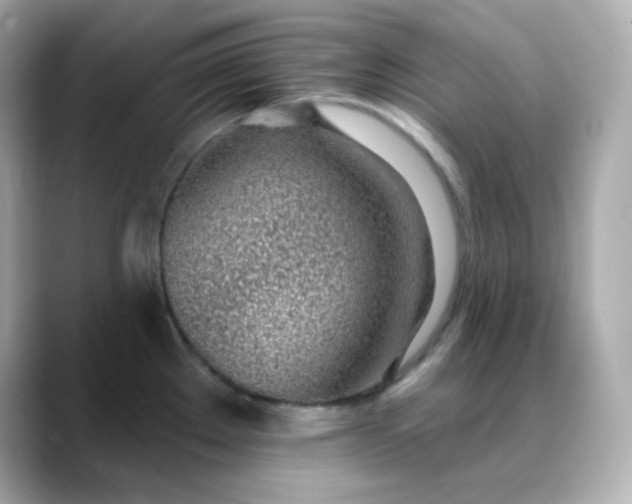 X0000088451289200706051259