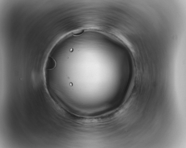 X0000088451291200706051259