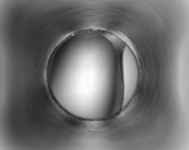 X0000088451293200706051259