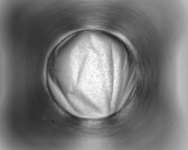 X0000088451294200706051259