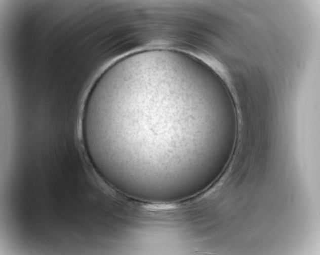 X0000088451296200706051259